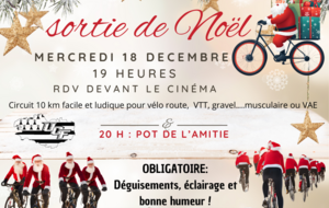 SORTIE DE NOËL mercredi 18 DECEMBRE 2024